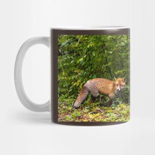 A pleasant encounter on Mount Olympus Mug